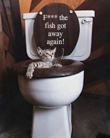 Cat___fish_by_Deidaras1lover.jpg